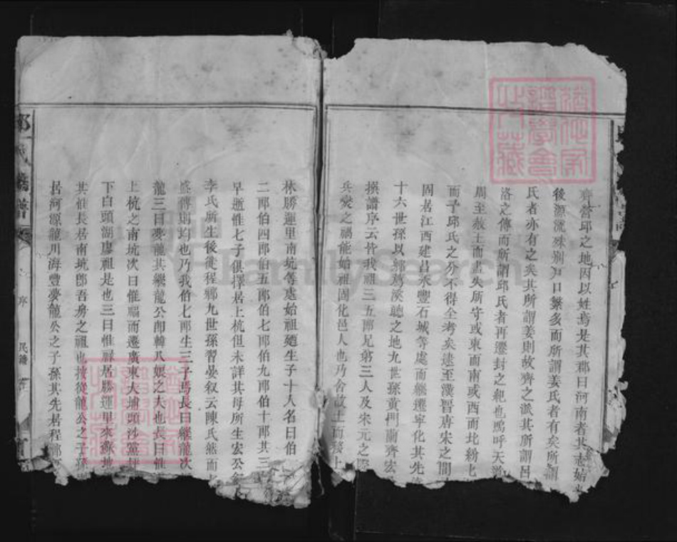 福建省龙岩市上杭县邱氏河南堂族谱-邱氏族谱.pdf电子版插图5