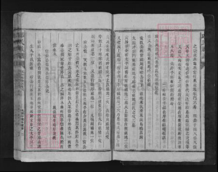 湖南省郴州市宜章县笆篱镇邱氏族谱-邱氏宗谱.pdf电子版插图2