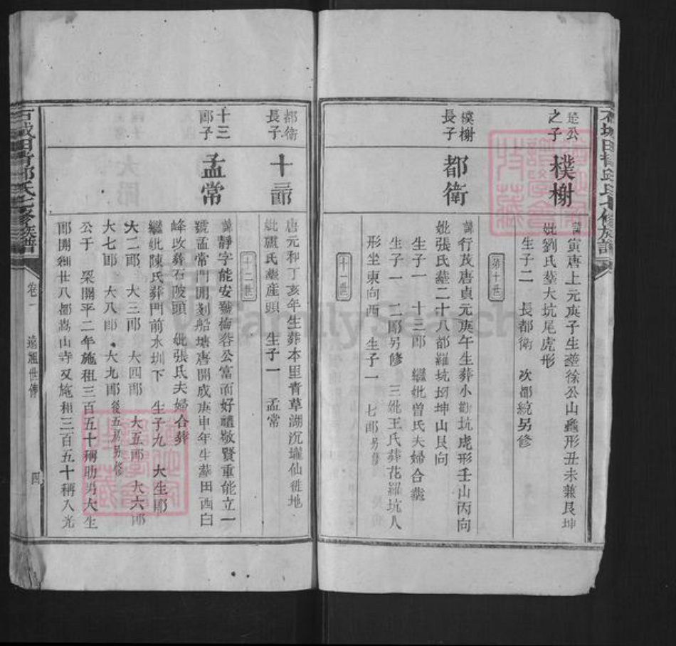 河北省石家庄市鹿泉区获鹿镇邱氏族谱-石城田背邱氏族谱.pdf电子版插图4