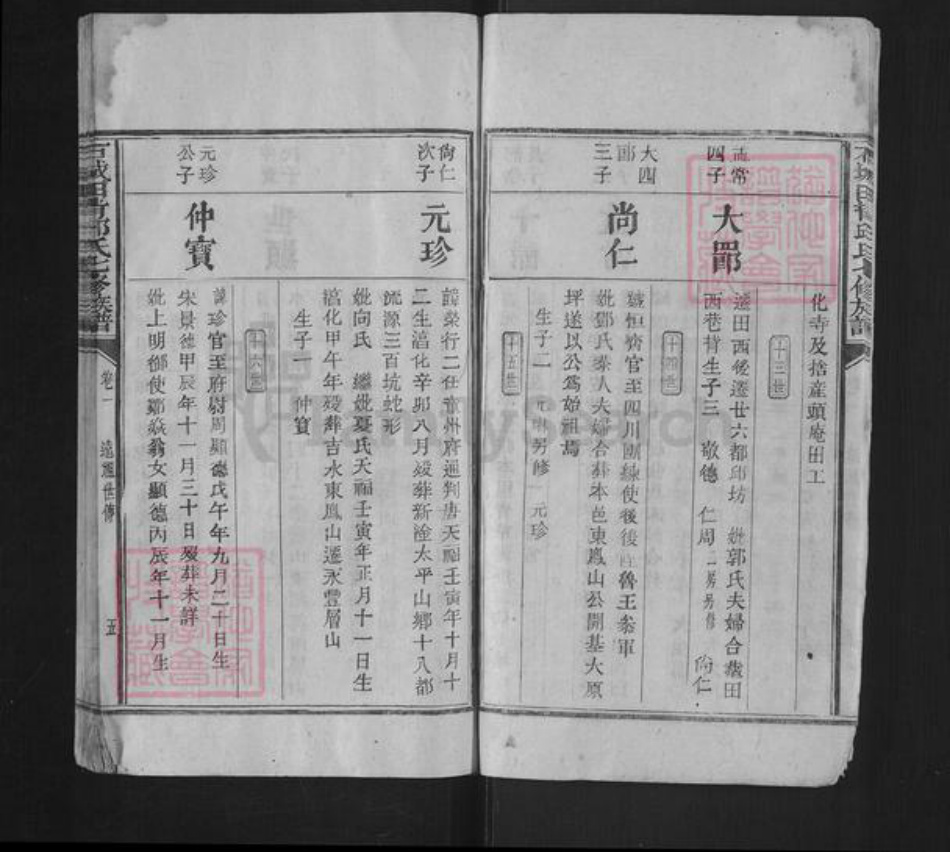 河北省石家庄市鹿泉区获鹿镇邱氏族谱-石城田背邱氏族谱.pdf电子版插图5