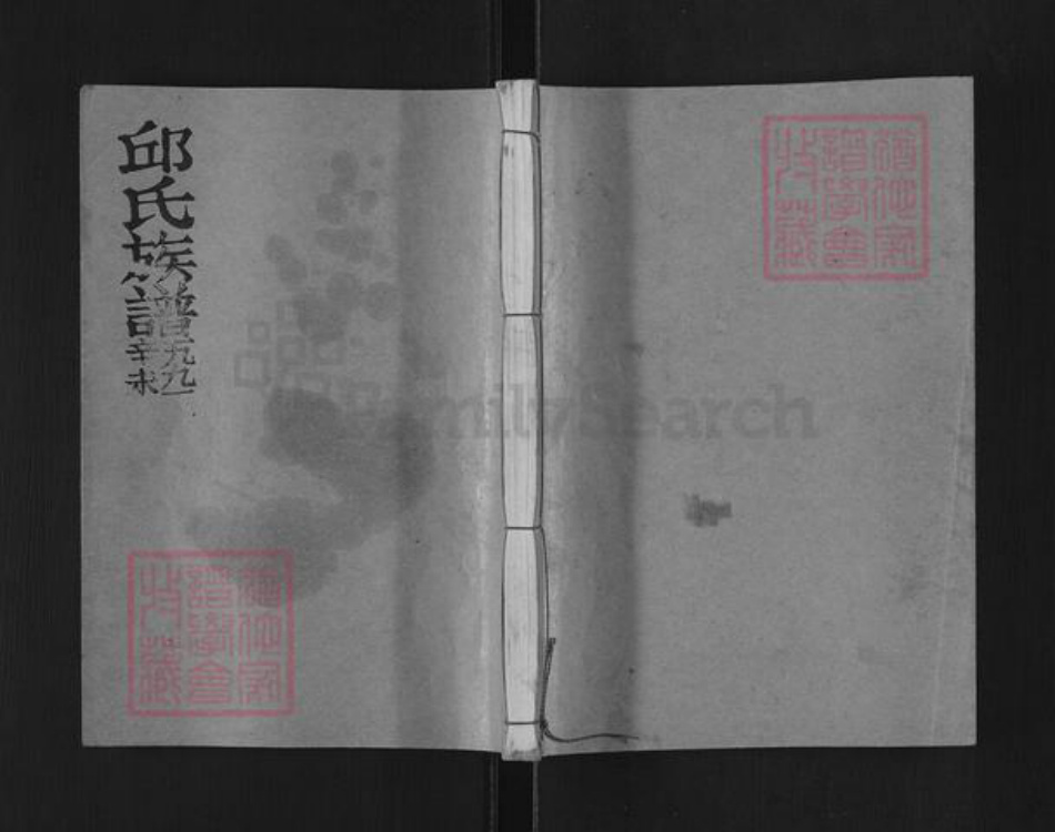 福建省三明市建宁县里心镇邱氏河南堂族谱-邱氏大成族谱.pdf电子版插图
