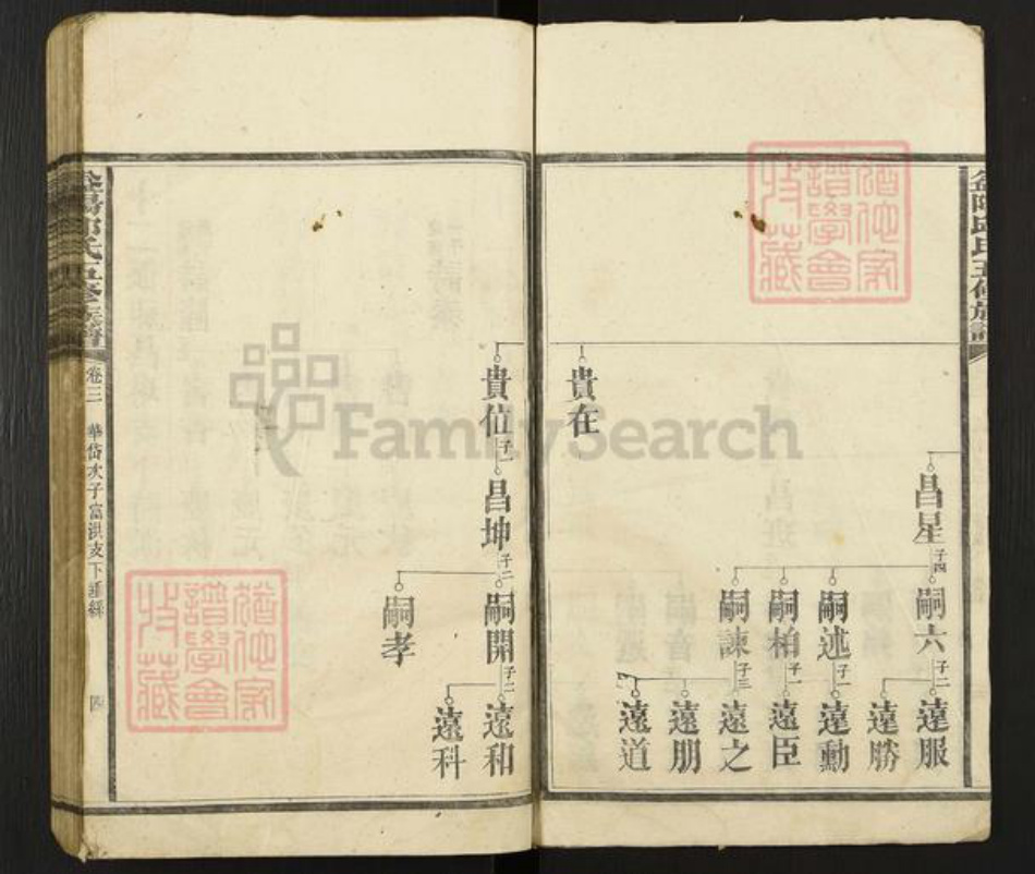湖南省益阳市桃江县邱氏族谱-益阳邱氏五修族谱.pdf电子版插图3