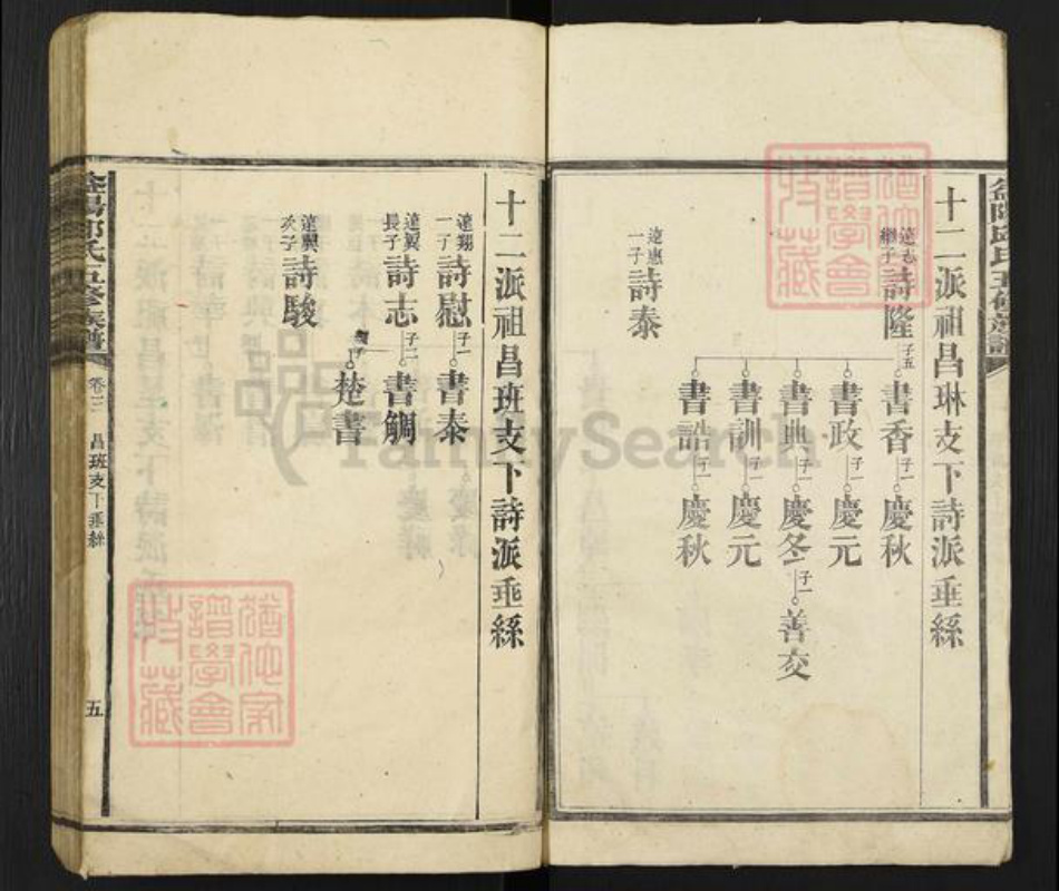 湖南省益阳市桃江县邱氏族谱-益阳邱氏五修族谱.pdf电子版插图4