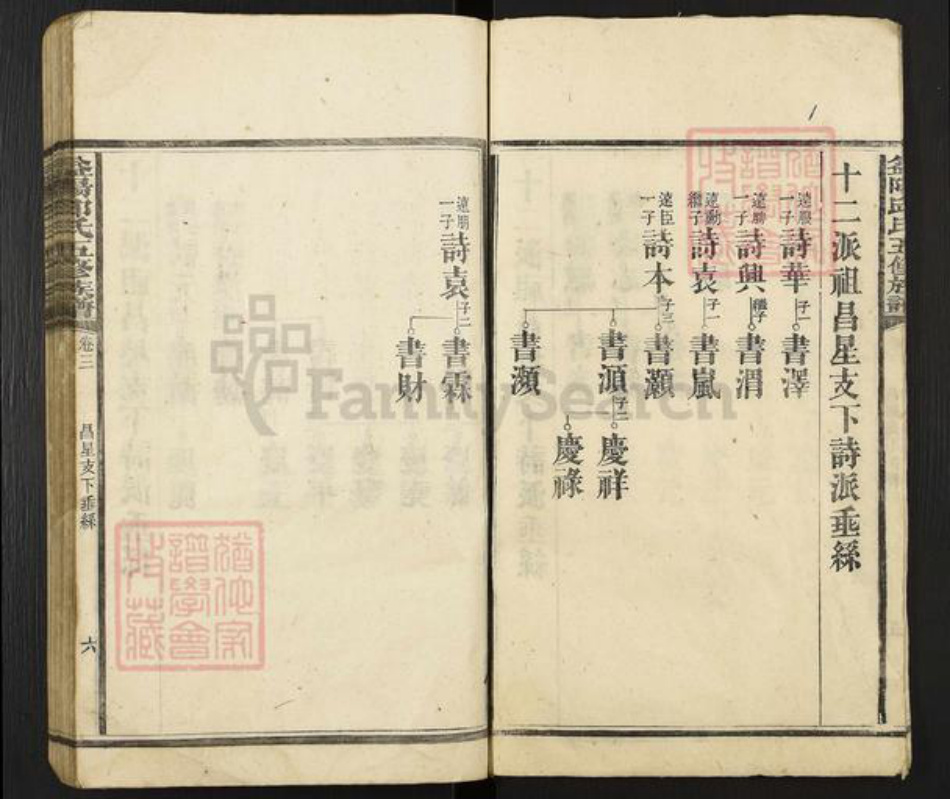 湖南省益阳市桃江县邱氏族谱-益阳邱氏五修族谱.pdf电子版插图5