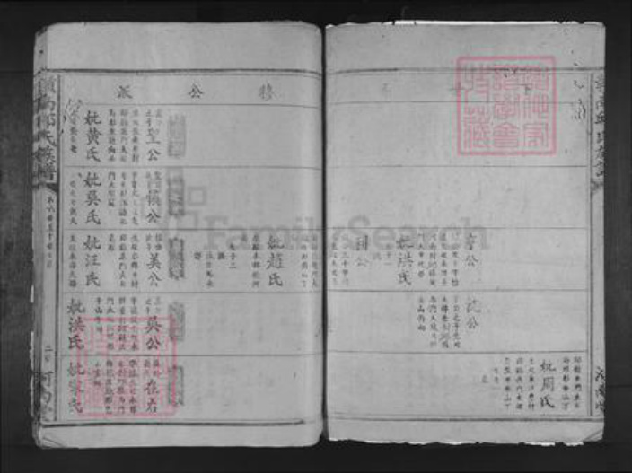 江西省赣州市赣县区邱氏河南堂族谱-𫎬南邱氏族谱.pdf电子版插图5