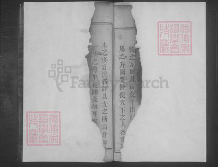 江西省九江市修水县饶氏族谱-饶氏宗谱 [6卷,首3卷,末1卷].pdf电子版插图2