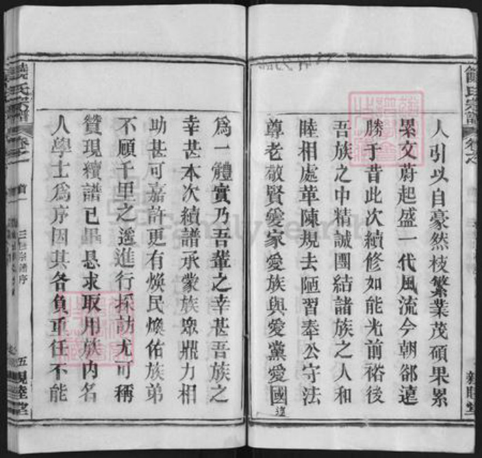 湖北省黄冈市饶氏亲睦堂族谱-饶氏宗谱 [14卷,首2卷].pdf电子版插图5