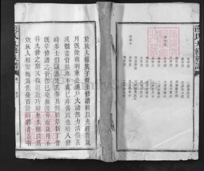 江西省九江市都昌县周溪镇饶氏族谱-饶氏九修族谱.pdf电子版插图