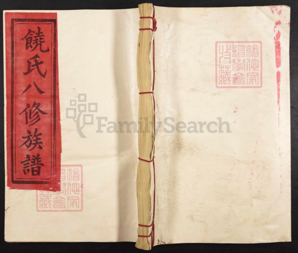 江西省抚州市广昌县饶氏族谱-拗背源饶氏族谱.pdf电子版插图