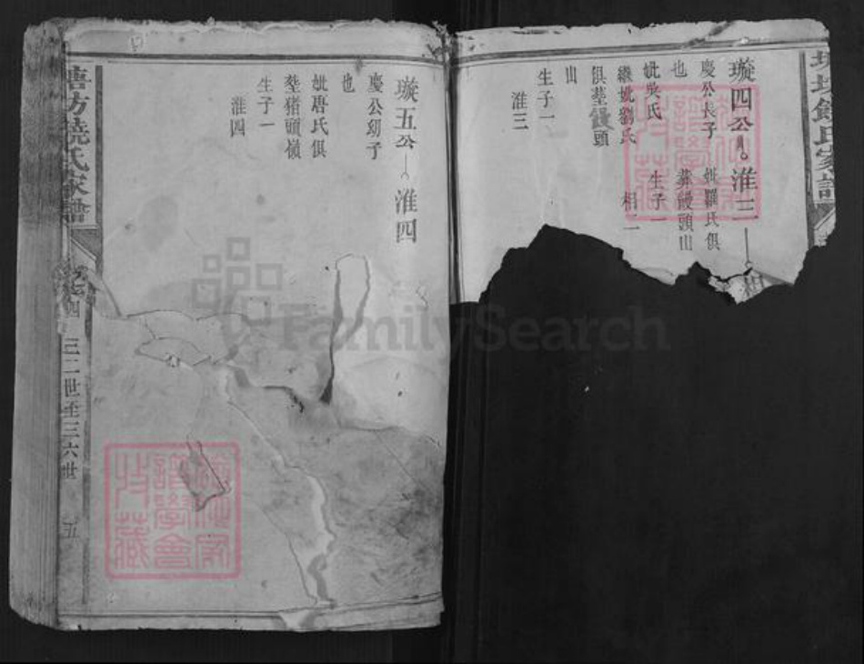 福建省龙岩市长汀县饶氏族谱-塘坊饶氏家谱.pdf电子版插图2