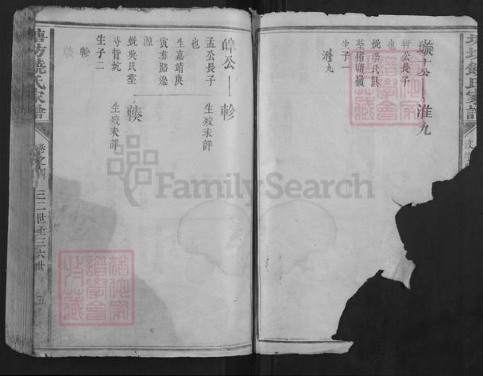 福建省龙岩市长汀县饶氏族谱-塘坊饶氏家谱.pdf电子版插图4