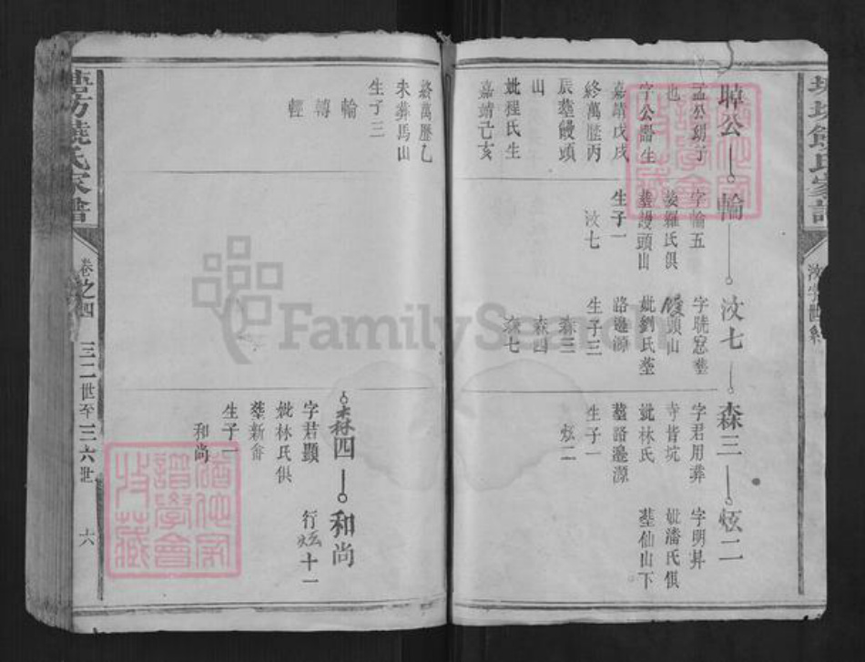 福建省龙岩市长汀县饶氏族谱-塘坊饶氏家谱.pdf电子版插图5
