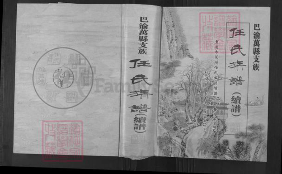 重庆市万州万县分水镇任氏族谱-巴渝万县支族.任氏族谱(续谱).pdf电子版插图