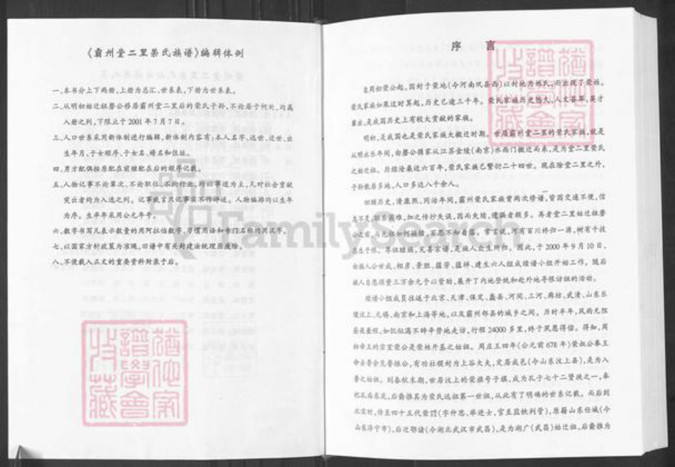 河北省廊坊市霸州市荣氏三乐堂族谱-霸州堂二里荣氏族谱.pdf电子版插图4