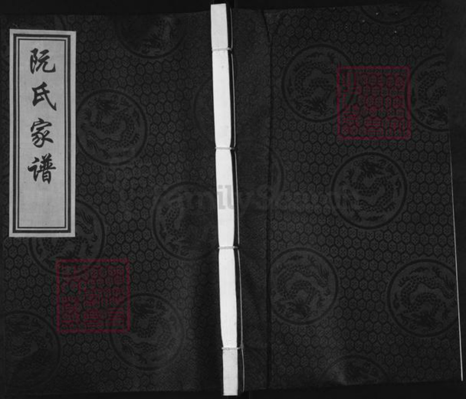 广东省河源市东源县仙塘镇阮氏族谱-阮氏家谱.pdf电子版插图
