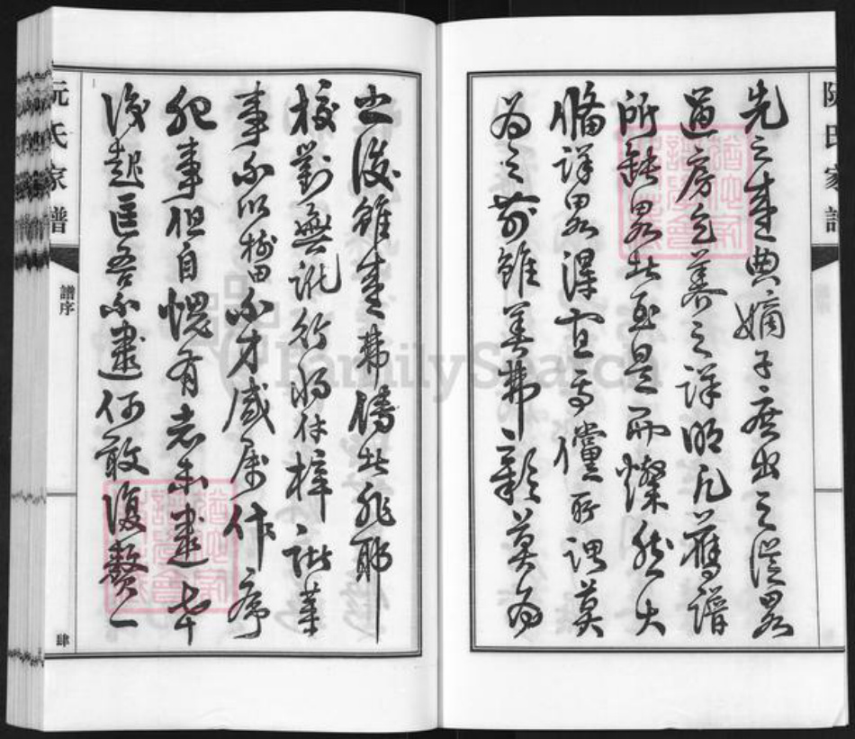 广东省河源市东源县仙塘镇阮氏族谱-阮氏家谱.pdf电子版插图4
