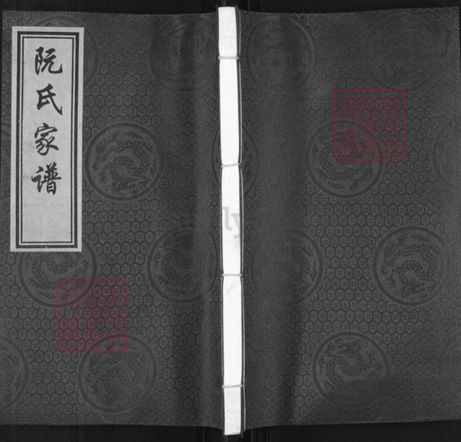 广东省河源市东源县仙塘镇阮氏族谱-阮氏家谱.pdf电子版插图