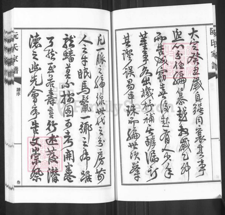 广东省河源市东源县仙塘镇阮氏族谱-阮氏家谱.pdf电子版插图3