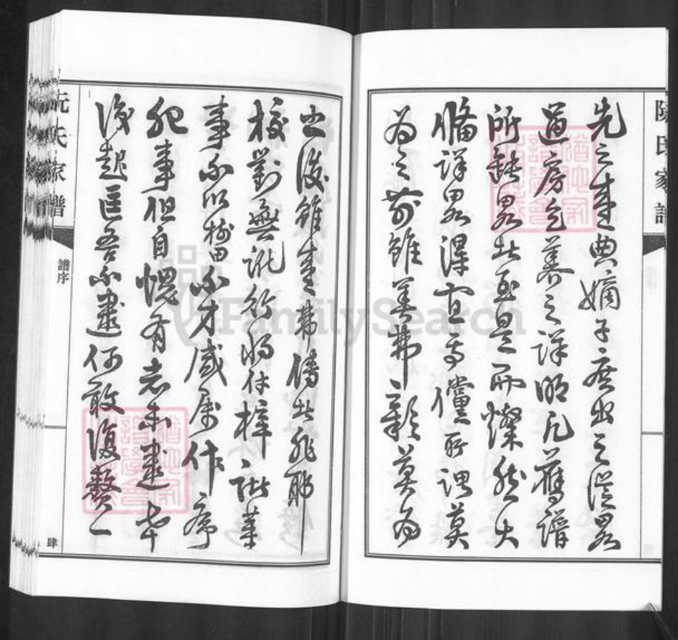 广东省河源市东源县仙塘镇阮氏族谱-阮氏家谱.pdf电子版插图4