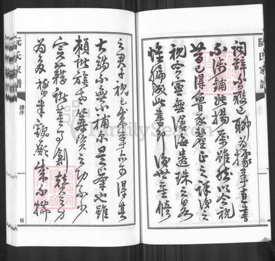 广东省河源市东源县仙塘镇阮氏族谱-阮氏家谱.pdf电子版插图5