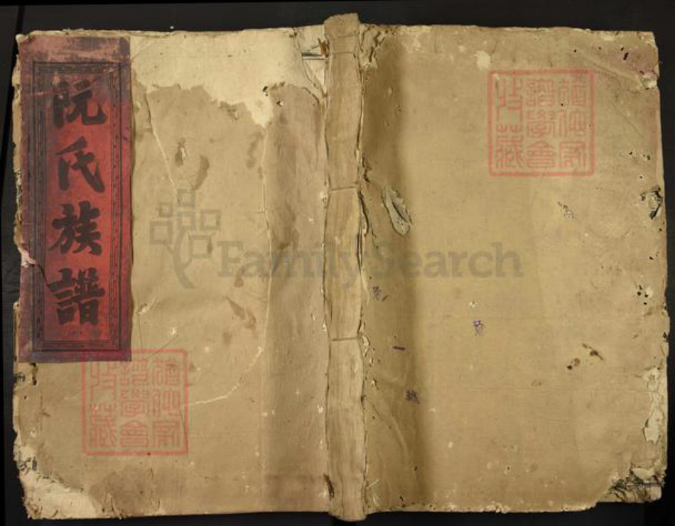 福建省漳州市漳浦县绥安镇阮氏族谱-绥安阮氏族谱.pdf电子版插图