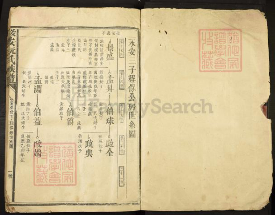 福建省漳州市漳浦县绥安镇阮氏族谱-绥安阮氏族谱.pdf电子版插图1