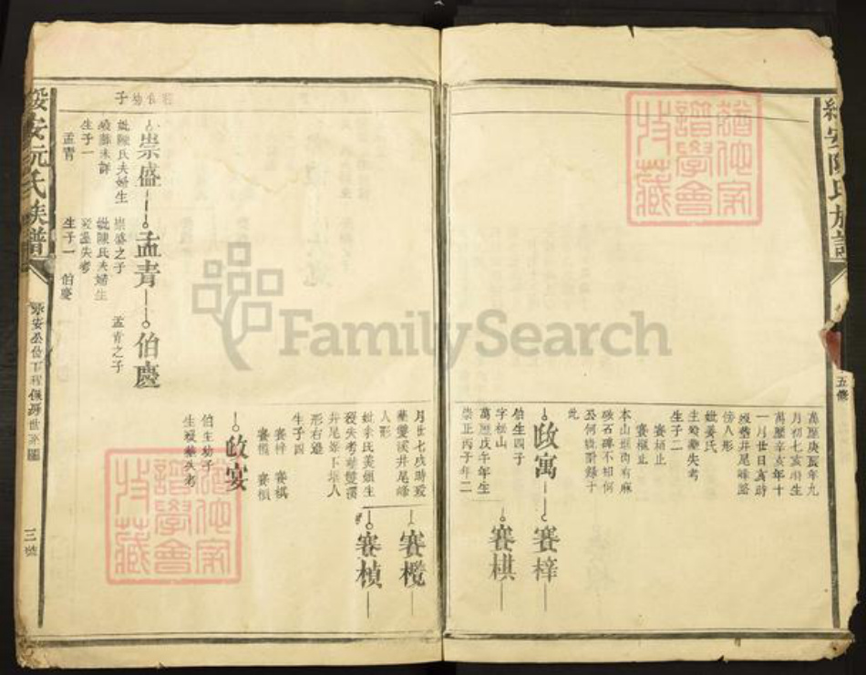 福建省漳州市漳浦县绥安镇阮氏族谱-绥安阮氏族谱.pdf电子版插图3
