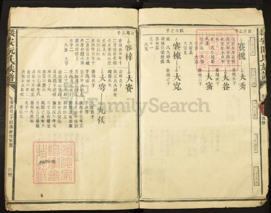 福建省漳州市漳浦县绥安镇阮氏族谱-绥安阮氏族谱.pdf电子版插图4