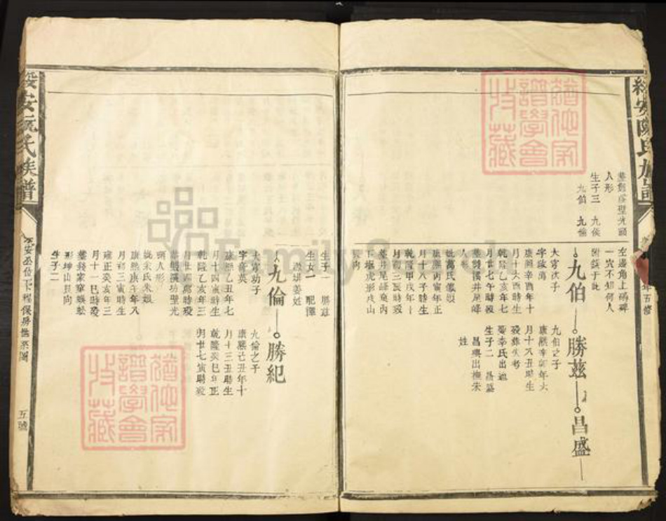 福建省漳州市漳浦县绥安镇阮氏族谱-绥安阮氏族谱.pdf电子版插图5
