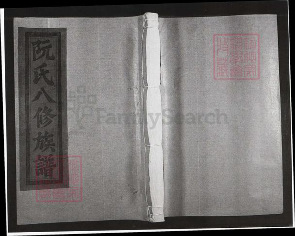 福建省漳州市漳浦县绥安镇阮氏族谱-绥安阮氏族谱.pdf电子版插图