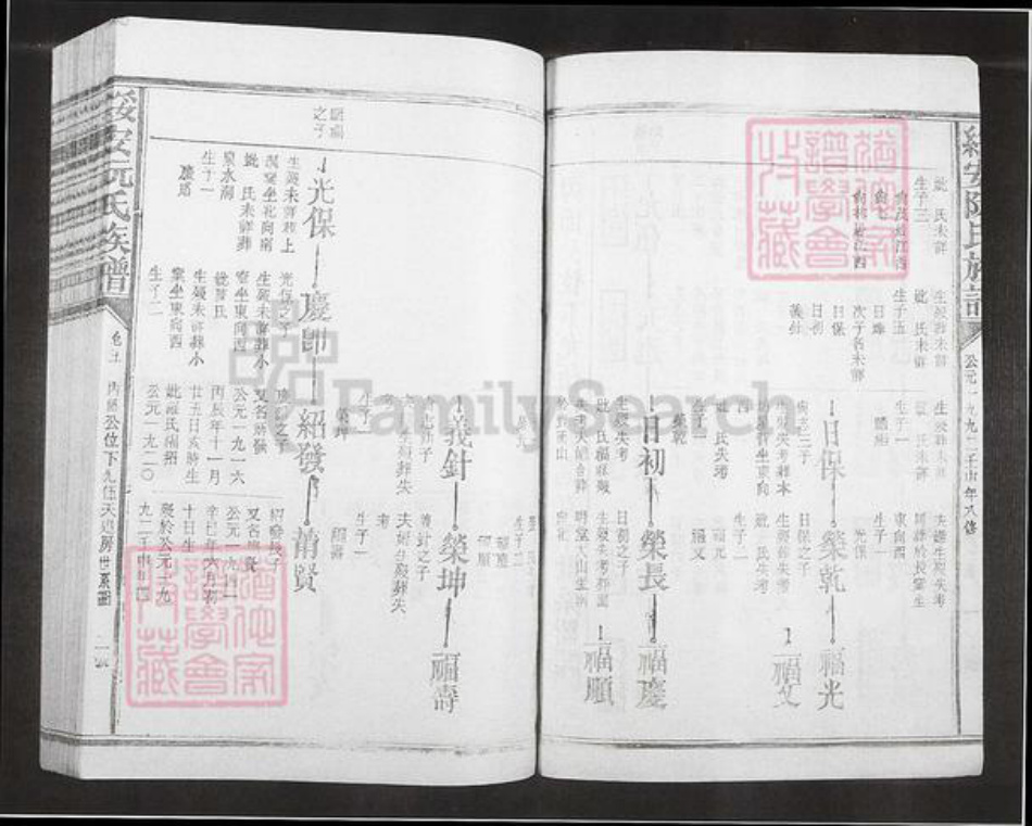 福建省漳州市漳浦县绥安镇阮氏族谱-绥安阮氏族谱.pdf电子版插图1
