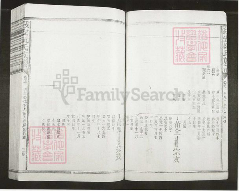 福建省漳州市漳浦县绥安镇阮氏族谱-绥安阮氏族谱.pdf电子版插图2