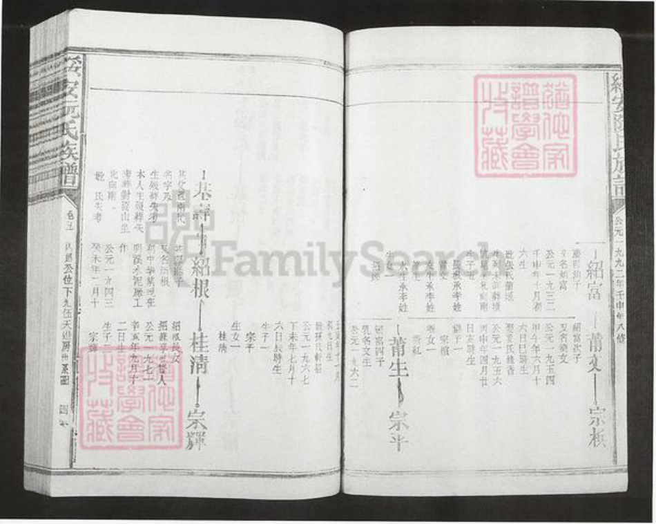 福建省漳州市漳浦县绥安镇阮氏族谱-绥安阮氏族谱.pdf电子版插图3