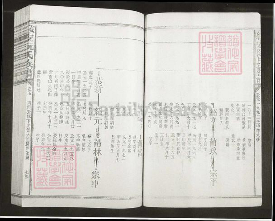 福建省漳州市漳浦县绥安镇阮氏族谱-绥安阮氏族谱.pdf电子版插图5