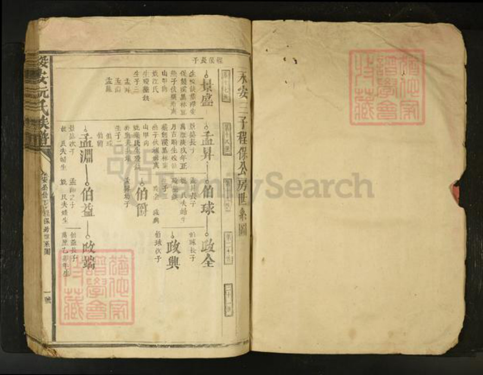 江西省阮氏族谱-绥安阮氏族谱[不分卷].pdf电子版插图1