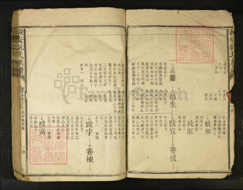 江西省阮氏族谱-绥安阮氏族谱[不分卷].pdf电子版插图2