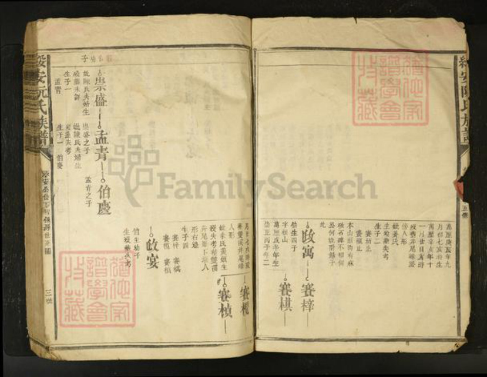 江西省阮氏族谱-绥安阮氏族谱[不分卷].pdf电子版插图3