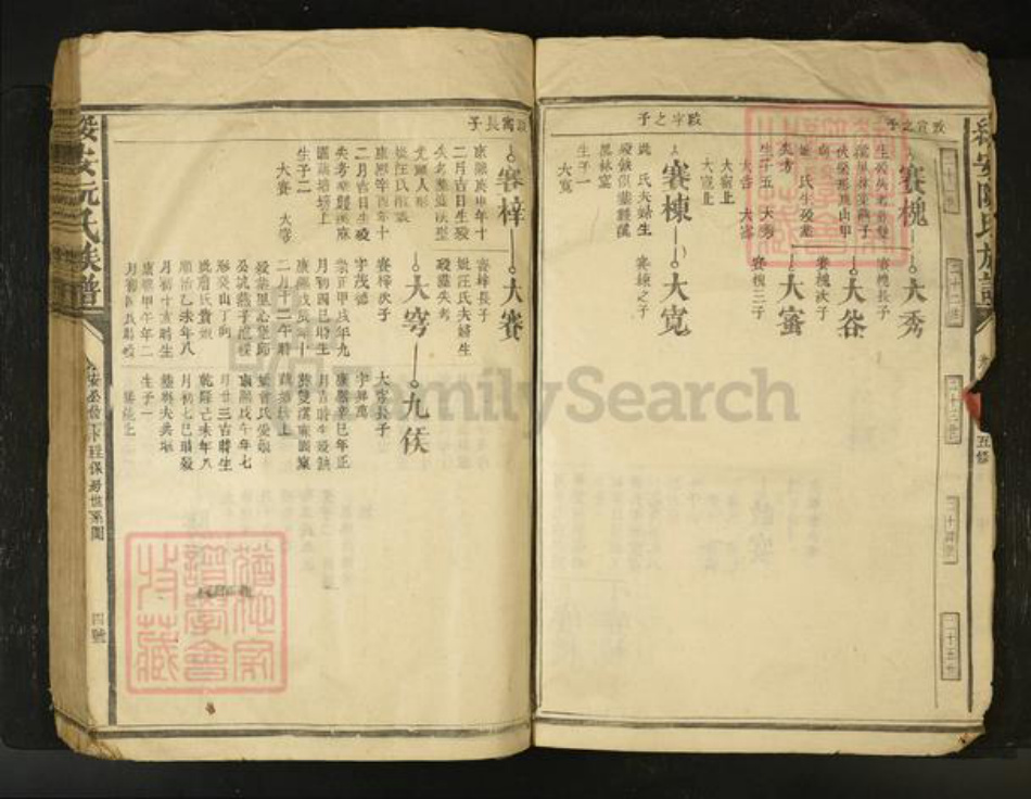江西省阮氏族谱-绥安阮氏族谱[不分卷].pdf电子版插图4