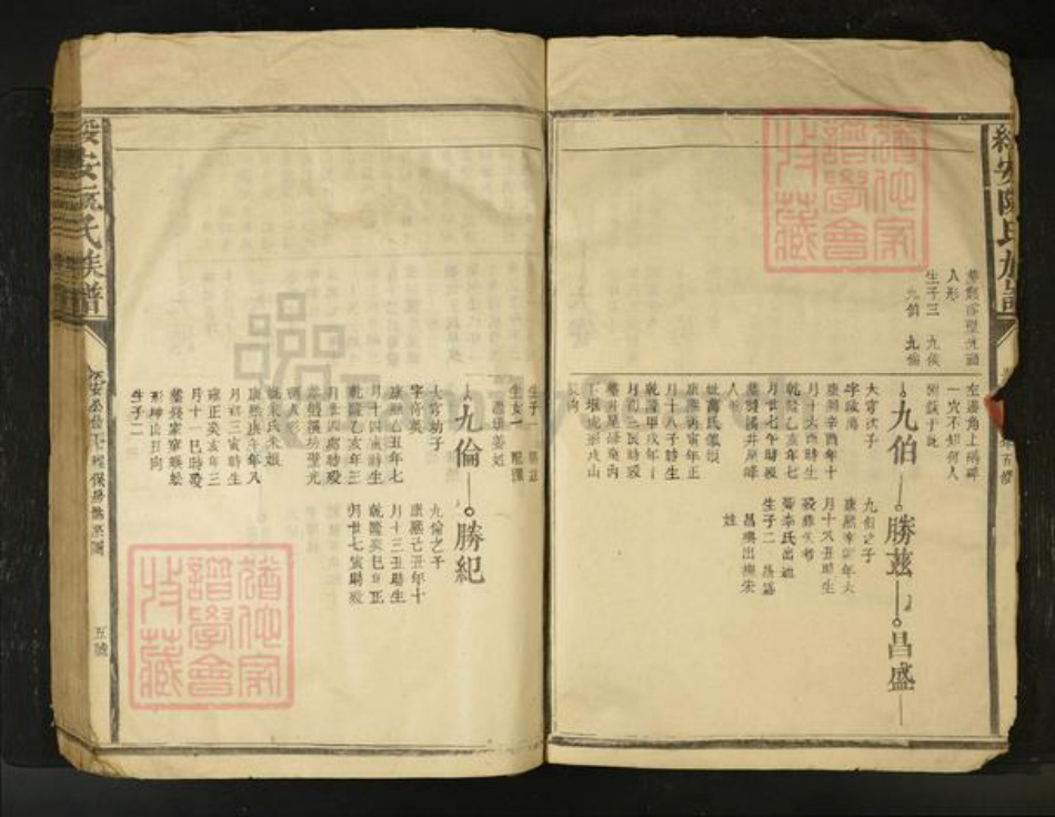 江西省阮氏族谱-绥安阮氏族谱[不分卷].pdf电子版插图5