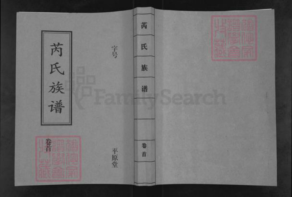 湖南省常德市汉寿县芮氏平原堂族谱-芮氏族谱.pdf电子版插图
