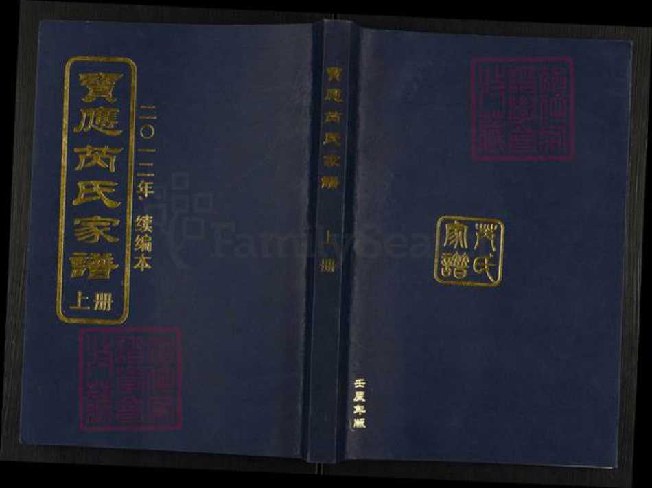 江苏省扬州市宝应县芮氏文化堂族谱-宝应芮氏家谱.pdf电子版插图
