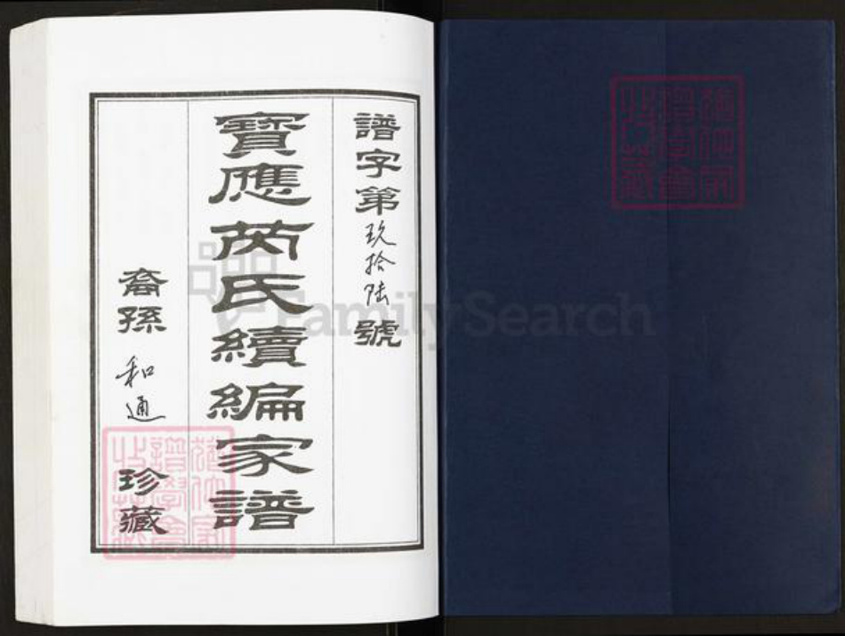 江苏省扬州市宝应县芮氏文化堂族谱-宝应芮氏家谱.pdf电子版插图1