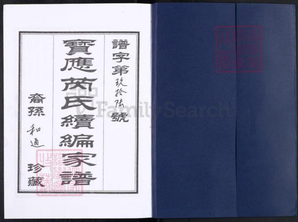 江苏省扬州市宝应县芮氏族谱-宝应芮氏家谱.pdf电子版插图1