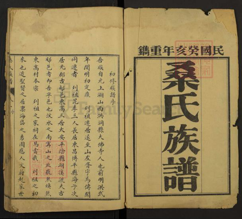 山东省泰安市宁阳县鹤山镇桑氏族谱-桑氏族谱.pdf电子版插图1