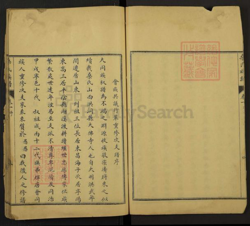 山东省泰安市宁阳县鹤山镇桑氏族谱-桑氏族谱.pdf电子版插图5
