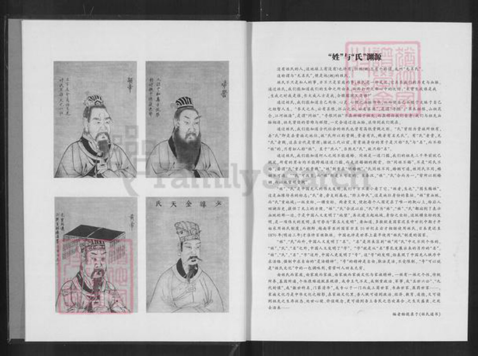 湖南省常德市桃源县九溪镇沙氏汝南堂族谱-湘鄂川陕粤沙氏族谱.pdf电子版插图3