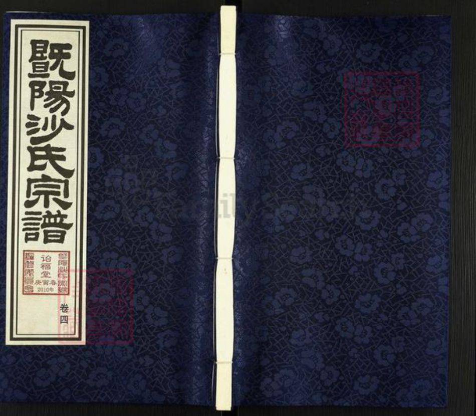 江苏省无锡市江阴市沙氏诒福堂族谱-暨阳沙氏宗谱.pdf电子版插图