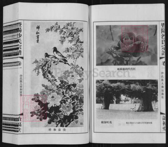 江苏省无锡市江阴市沙氏诒福堂族谱-暨阳沙氏宗谱.pdf电子版插图3 江苏省无锡市江阴市沙氏诒福堂族谱-暨阳沙氏宗谱.pdf电子版插图3