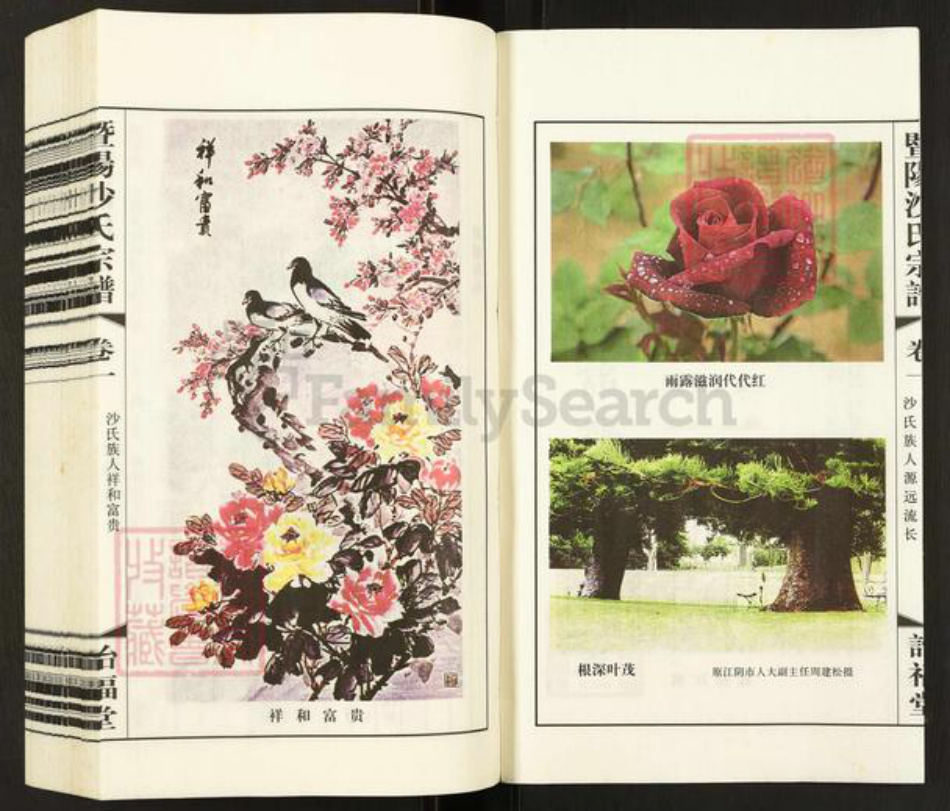 江苏省无锡市江阴市沙氏诒福堂族谱-暨阳沙氏宗谱.pdf电子版插图3