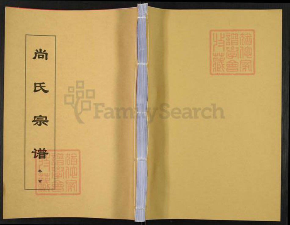安徽省安庆市望江县华阳镇尚氏飞熊堂族谱-尚氏宗谱.pdf电子版